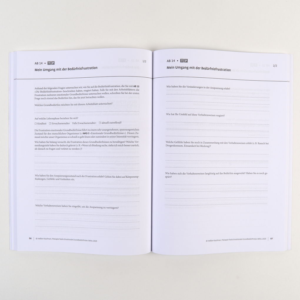 Weitere Ansicht: Therapie-Tools Emotionale Grundbedürfnisse | Johannes Heßler-Kaufmann