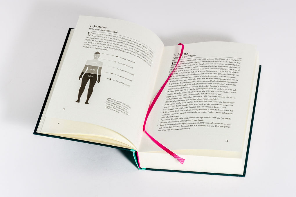 Weitere Ansicht: Ein Jahr des Staunens | Elizabeth Foley, Beth Coates