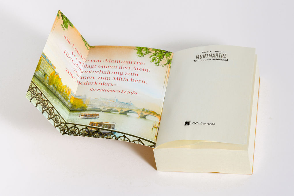 Weitere Ansicht: Montmartre - Traum und Schicksal | Marie Lacrosse