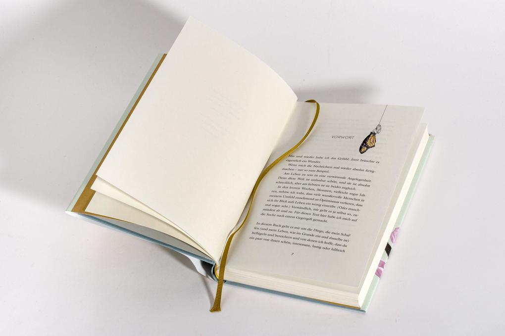 Weitere Ansicht: Das Jahr der Wunder | Melanie Raabe