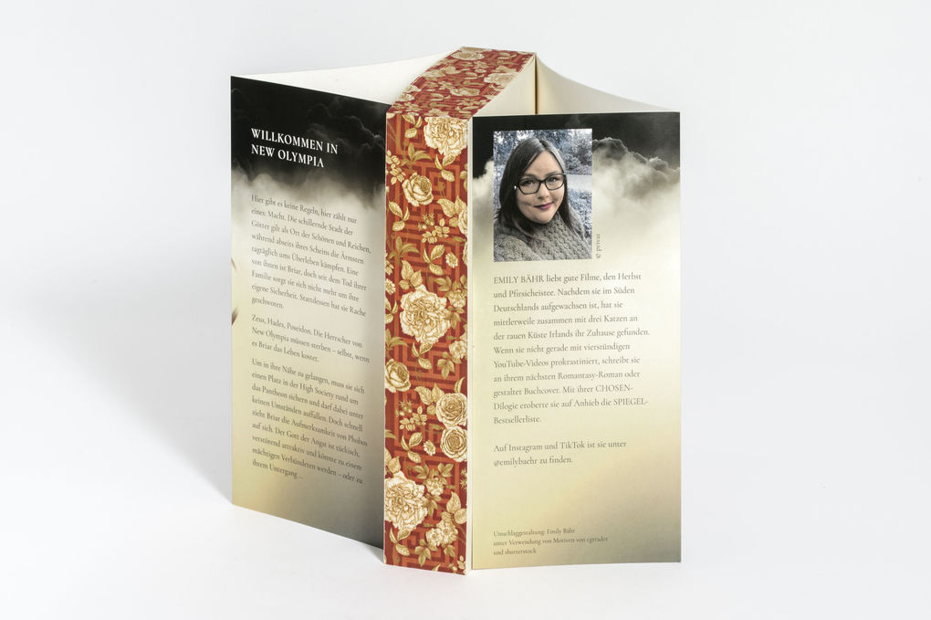 Weitere Ansicht: Gilded Ruin - Gods of New Olympia | Emily Bähr