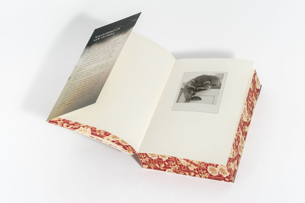 Weitere Ansicht: Gilded Ruin - Gods of New Olympia | Emily Bähr