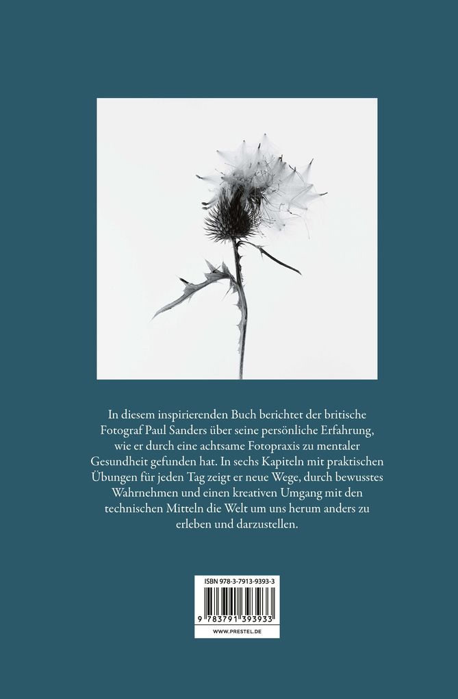 Weitere Ansicht: Im Augenblick. Ein Wegweiser zu achtsamer Fotografie | Paul Sanders