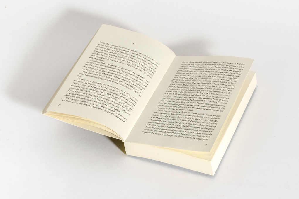 Weitere Ansicht: Malnata | Beatrice Salvioni