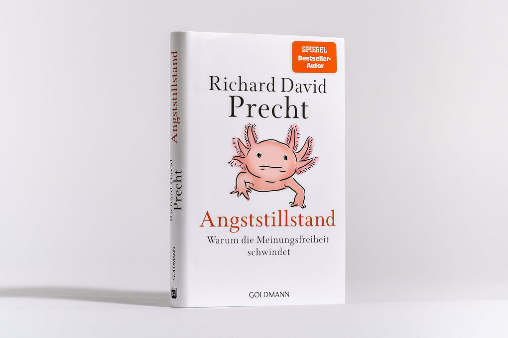 Weitere Ansicht: Angststillstand | Richard David Precht