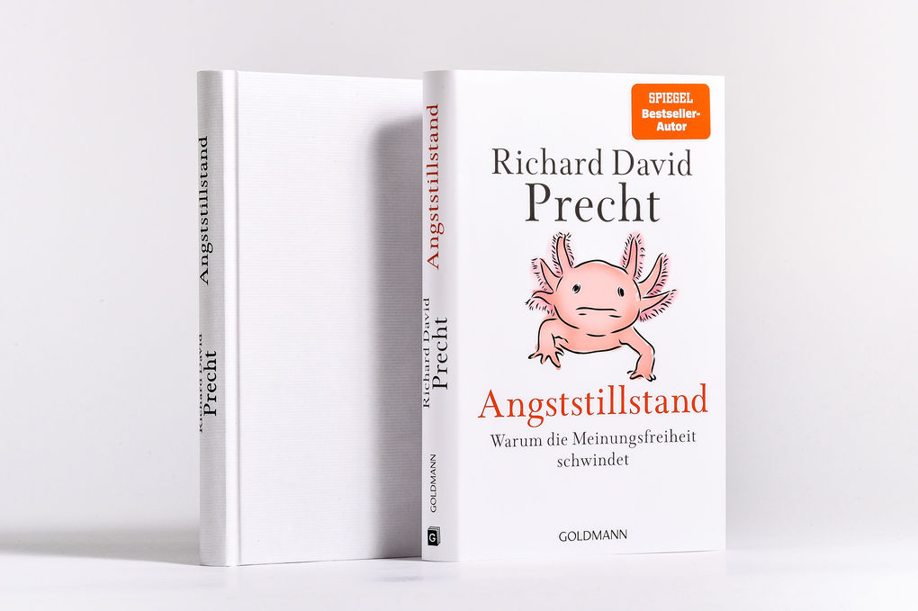 Weitere Ansicht: Angststillstand | Richard David Precht