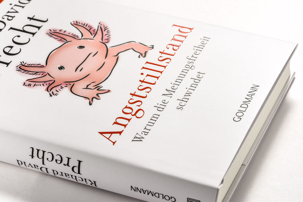 Weitere Ansicht: Angststillstand | Richard David Precht