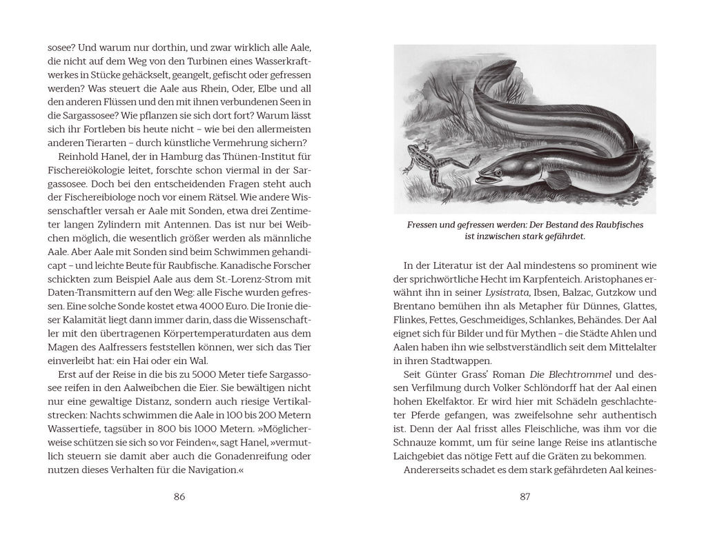 Weitere Ansicht: Geheimnisse aus der Geschichte