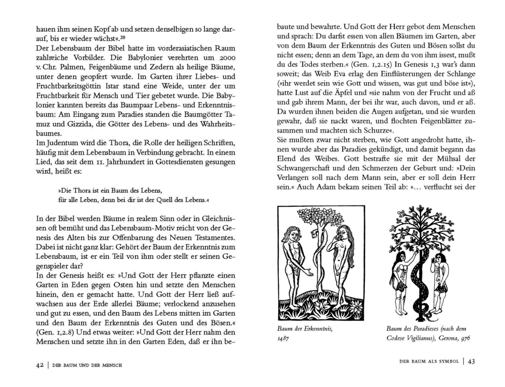 Weitere Ansicht: Die Magie der Bäume. Beschreibungen, Sagen und Geschichten von Apfel bis Weide | Gerd Haerkötter, Marlene Haerkötter