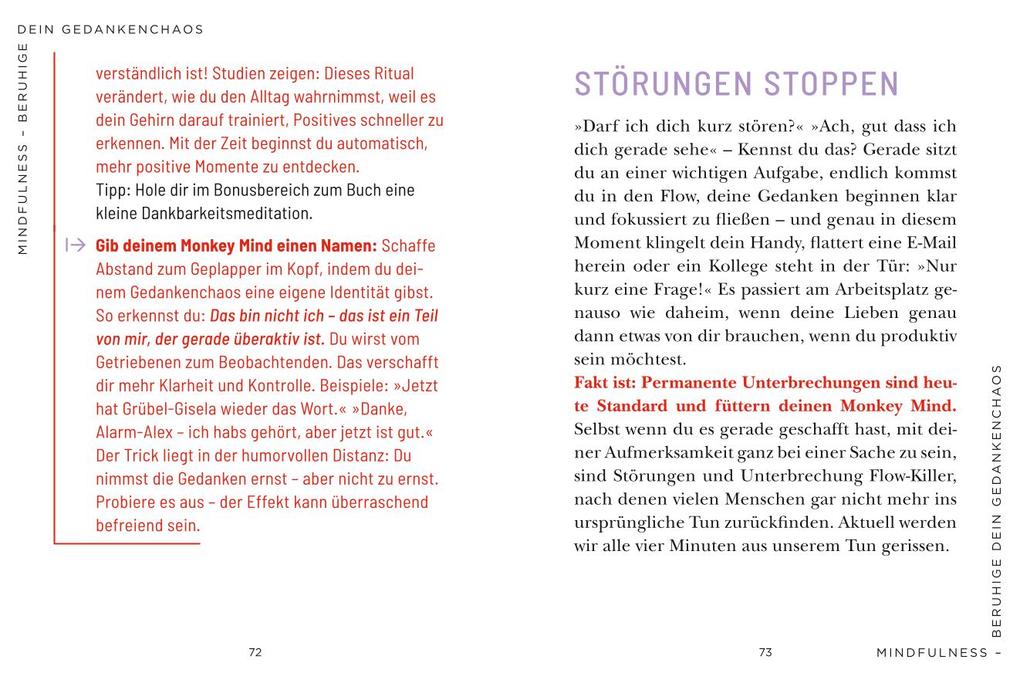 Weitere Ansicht: Die 1-Minuten-Strategie gegen mentale Erschöpfung | Cordula Nussbaum