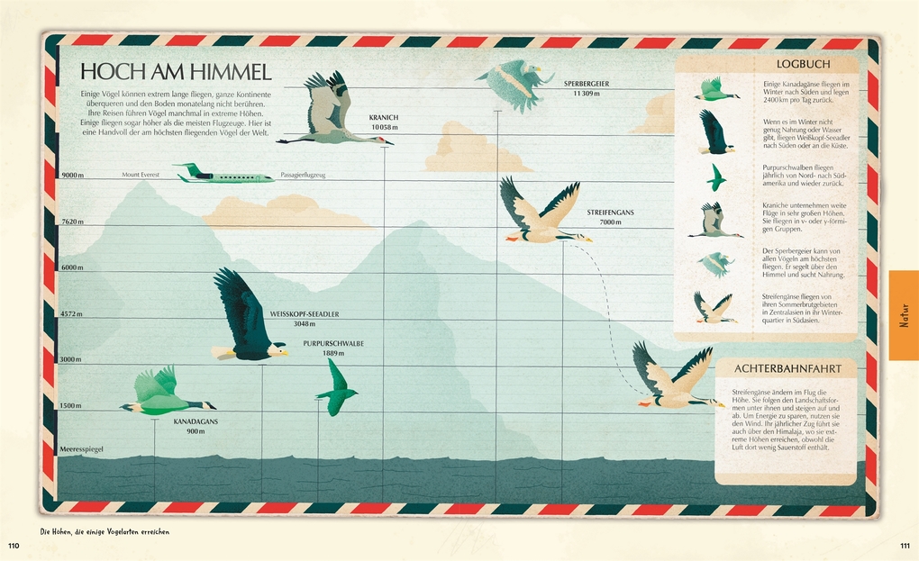 Weitere Ansicht: Welt-Entdecker | Lizzie Munsey