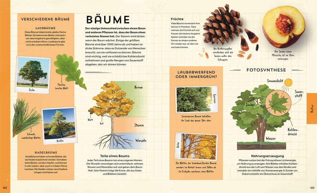 Weitere Ansicht: Welt-Entdecker | Lizzie Munsey