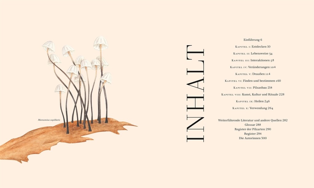 Weitere Ansicht: Pilze | Ali Ashby, Lynne Boddy