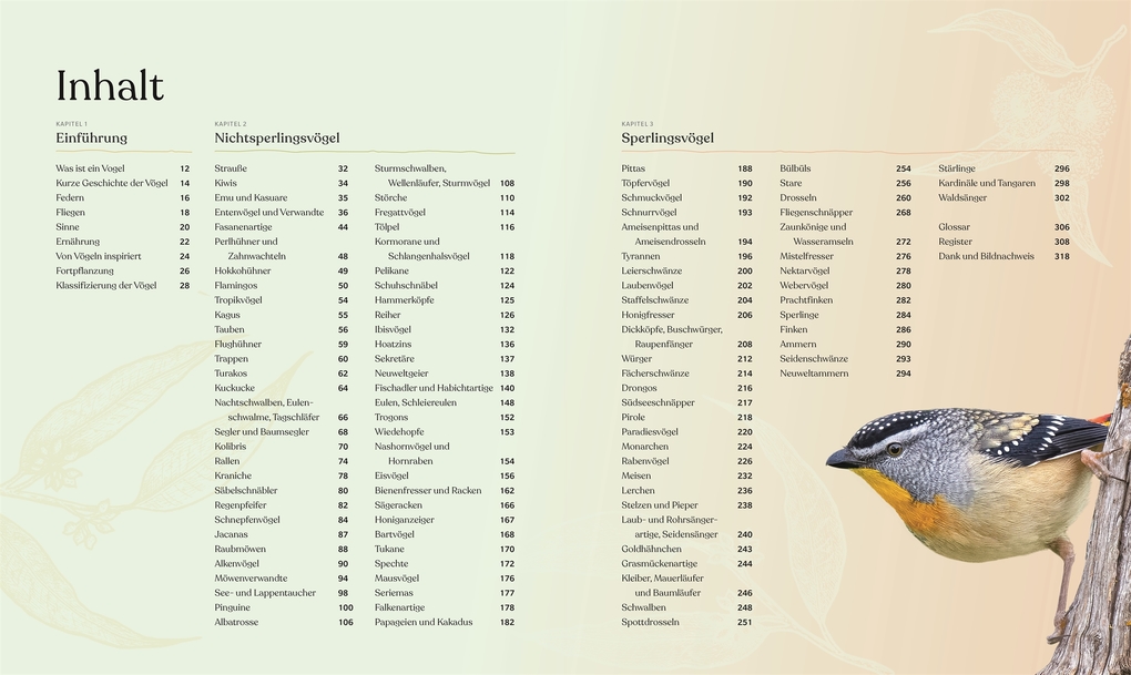 Weitere Ansicht: Vögel - Eine Natur- und Kulturgeschichte | Rob Hume