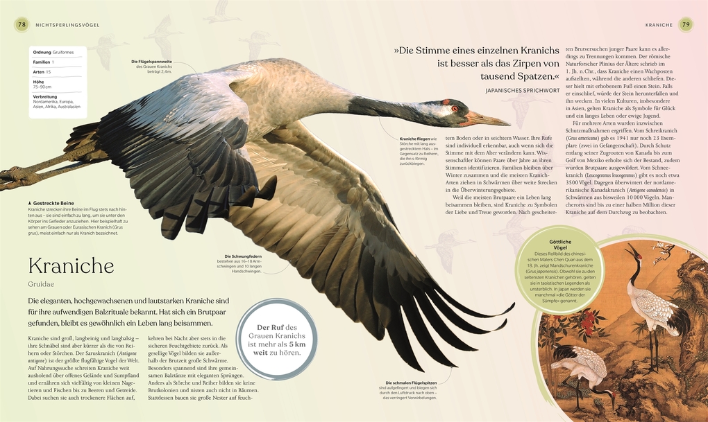 Weitere Ansicht: Vögel - Eine Natur- und Kulturgeschichte | Rob Hume