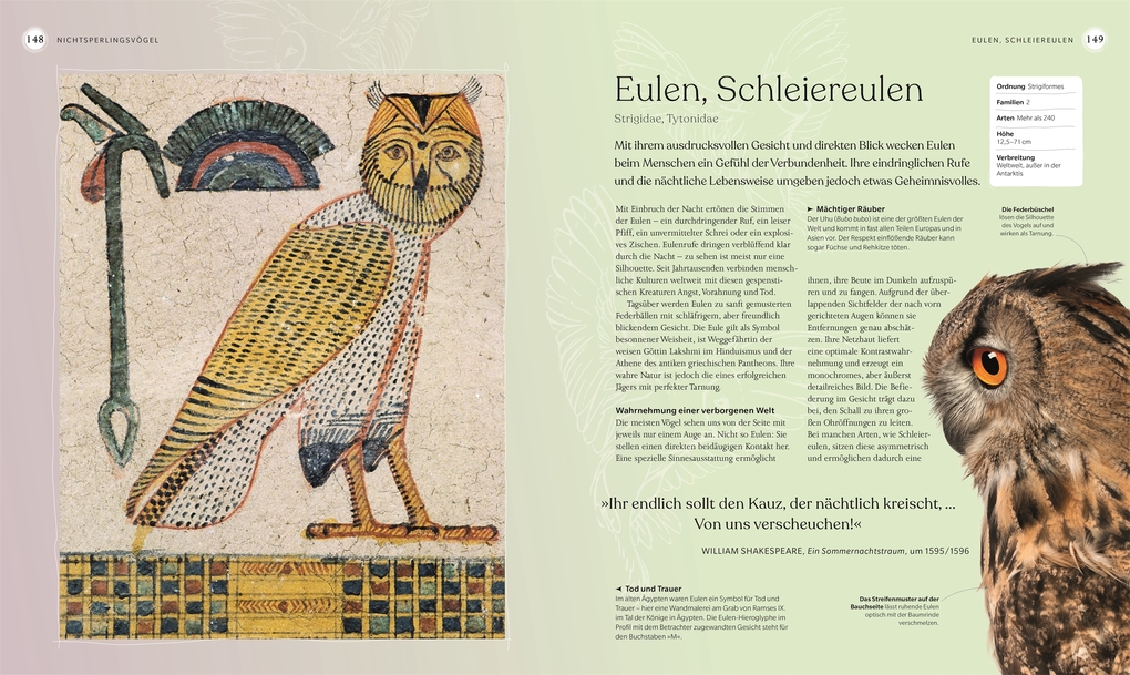 Weitere Ansicht: Vögel - Eine Natur- und Kulturgeschichte | Rob Hume