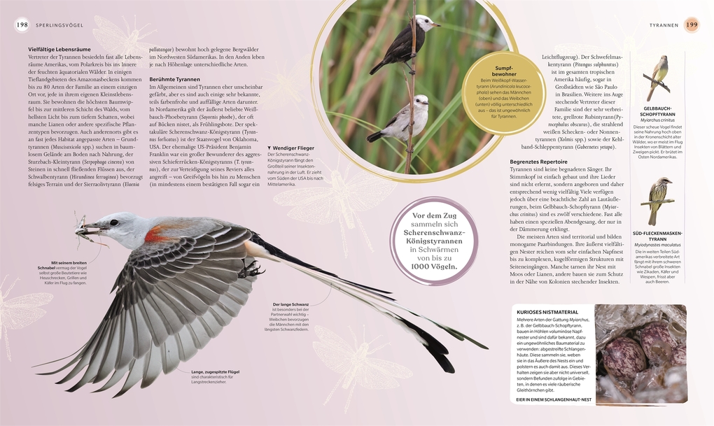 Weitere Ansicht: Vögel - Eine Natur- und Kulturgeschichte | Rob Hume