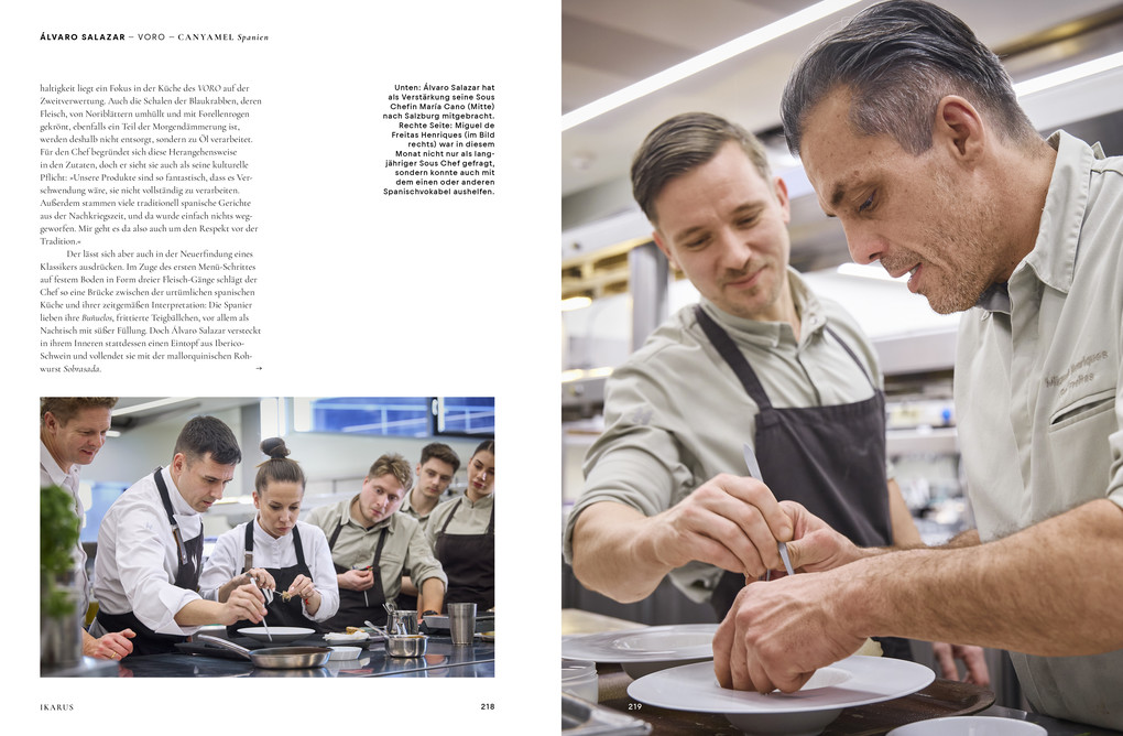 Weitere Ansicht: Ikarus