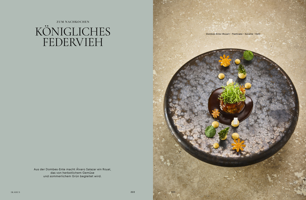 Weitere Ansicht: Ikarus