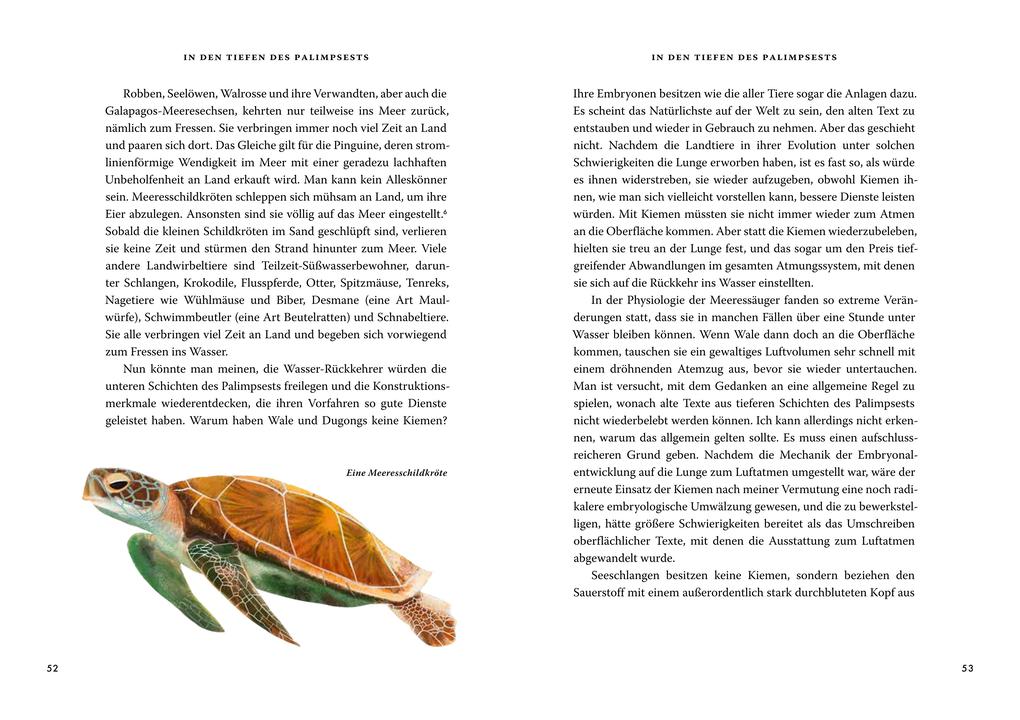 Weitere Ansicht: Das große Buch der Evolution | Richard Dawkins