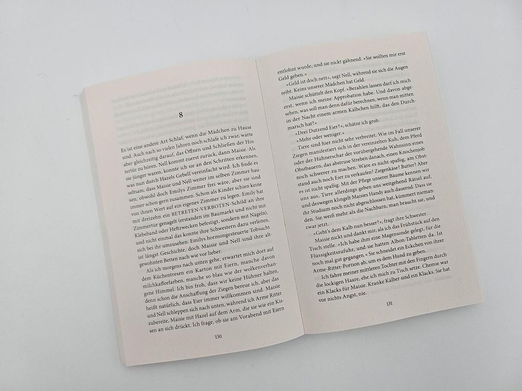 Weitere Ansicht: Der Sommer zu Hause | Ann Patchett