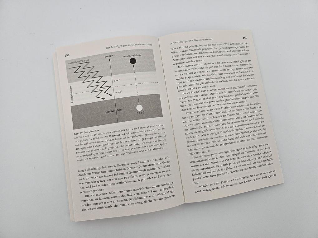 Weitere Ansicht: Die Stunde der Physiker | Ernst Peter Fischer