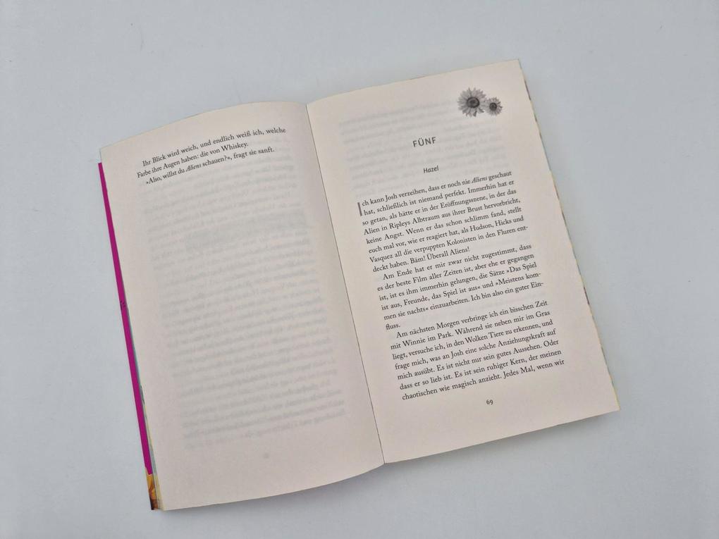 Weitere Ansicht: Josh and Hazel's Guide to Not Dating | Christina Lauren