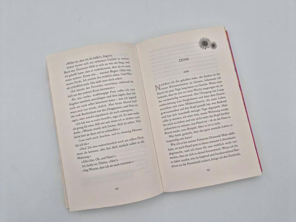 Weitere Ansicht: Josh and Hazel's Guide to Not Dating | Christina Lauren