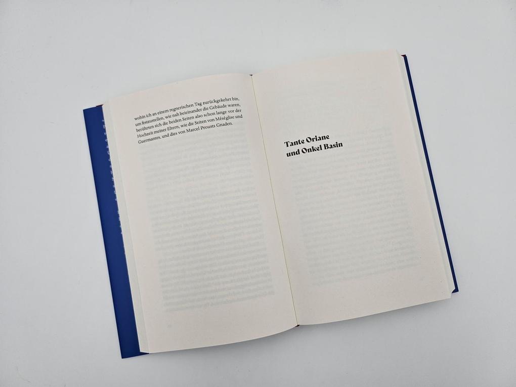 Weitere Ansicht: Proust. Familienroman | Laure Murat