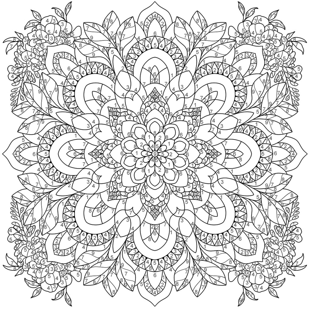 Weitere Ansicht: Mandala-Reise | Mila Dierksen