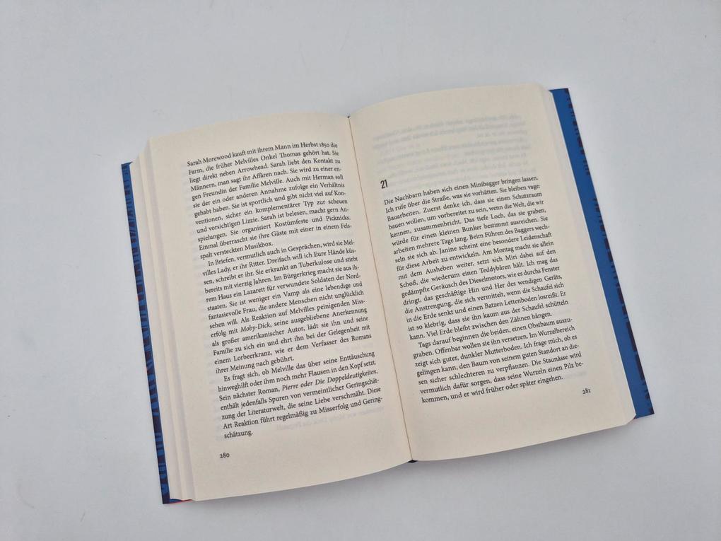 Weitere Ansicht: Melville verschwindet | Thomas Lang