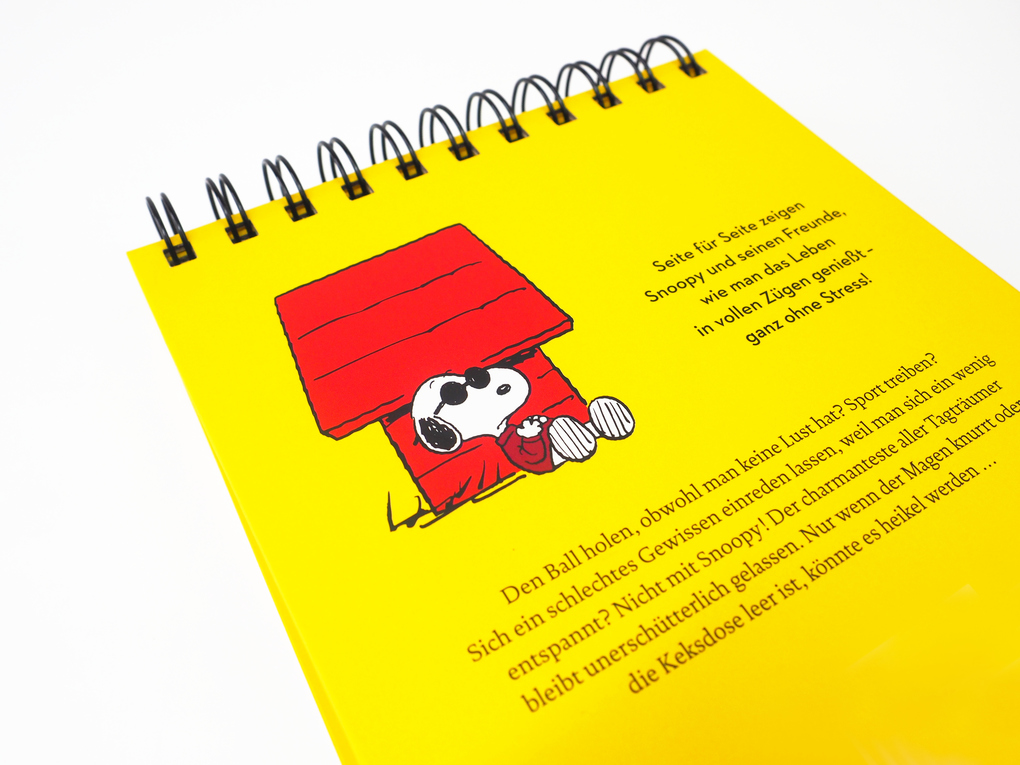 Weitere Ansicht: "Immer nach oben schauen ... das ist das Geheimnis des Lebens". Mit Snoopy gelassen durch den Tag (Tischaufsteller) | Charles M. Schulz