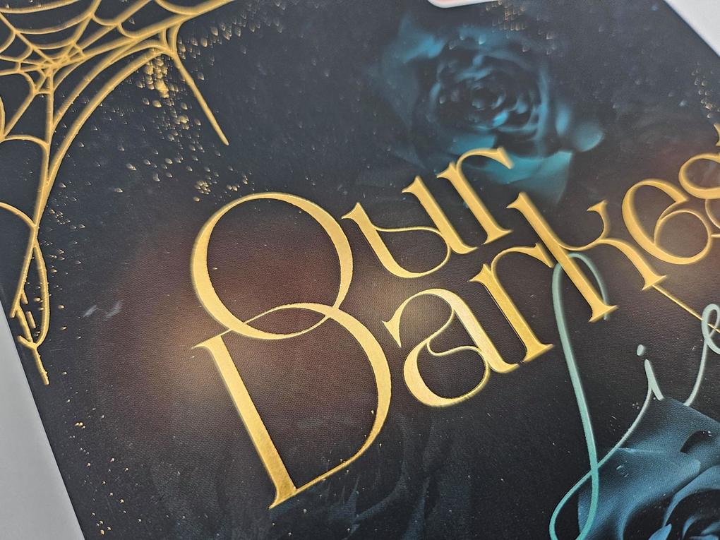 Weitere Ansicht: Our darkest Lies | Sara Rivers