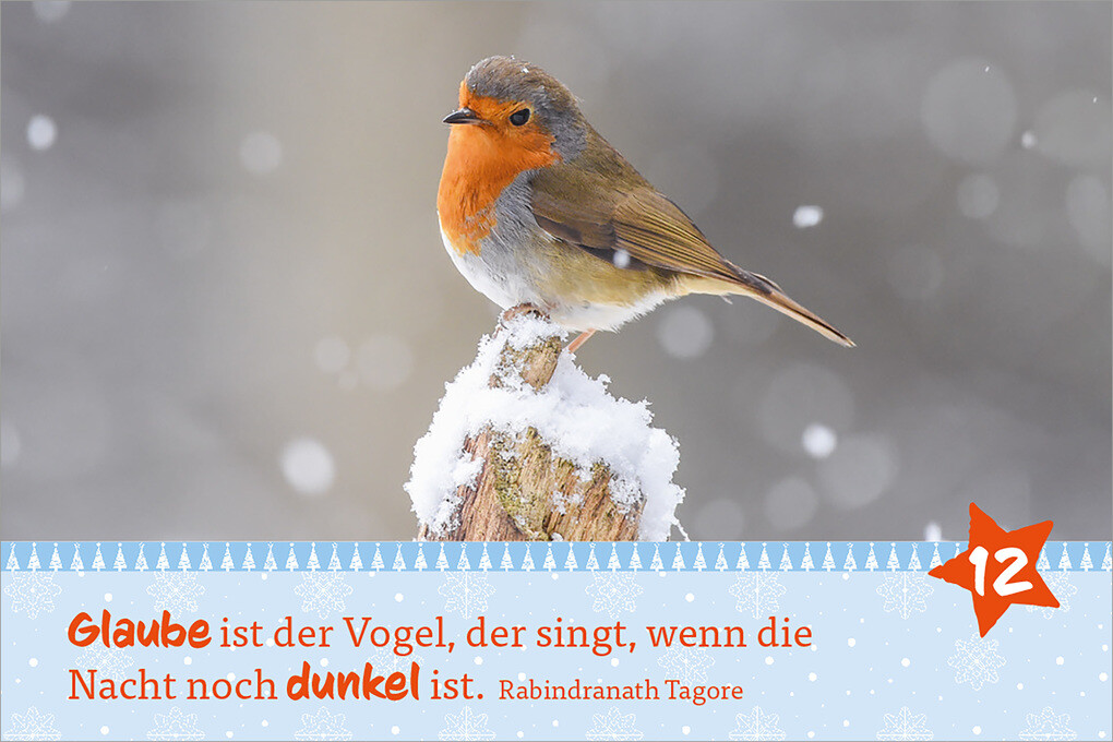Weitere Ansicht: Hosentaschenadventskalender 2025 - mit Fotos