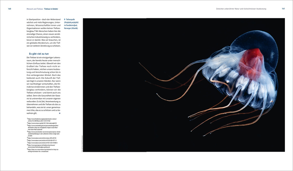 Weitere Ansicht: Expedition ins Unbekannte