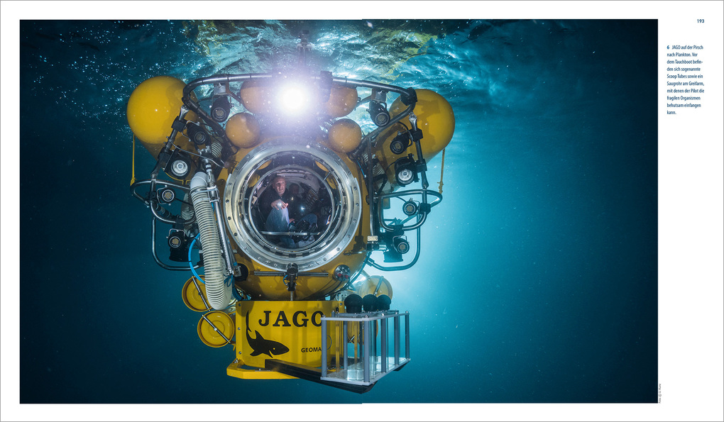 Weitere Ansicht: Expedition ins Unbekannte