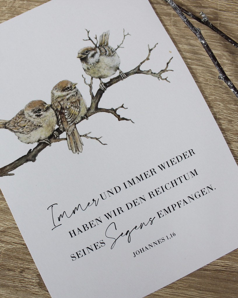 Weitere Ansicht: VorFreude - Adventskalender | Rebekka Rochlitzer