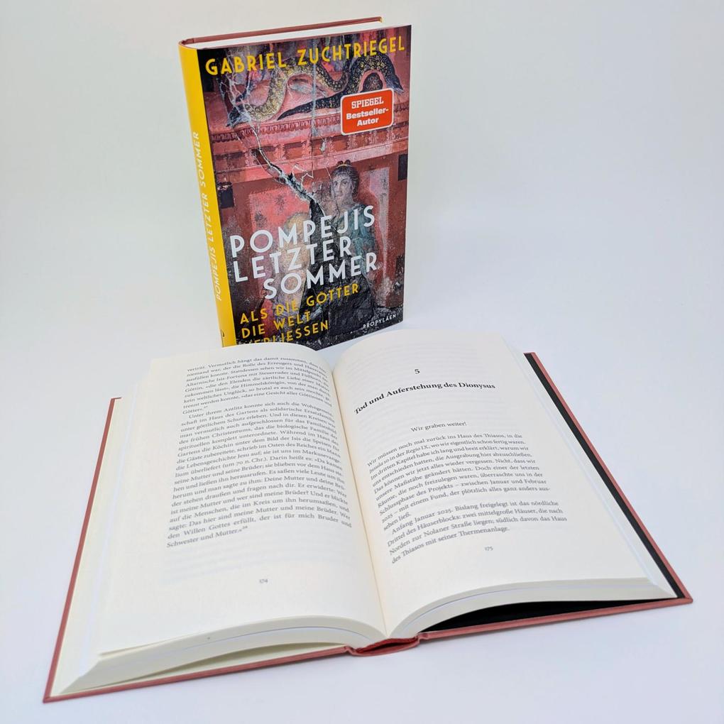 Weitere Ansicht: Pompejis letzter Sommer | Gabriel Zuchtriegel