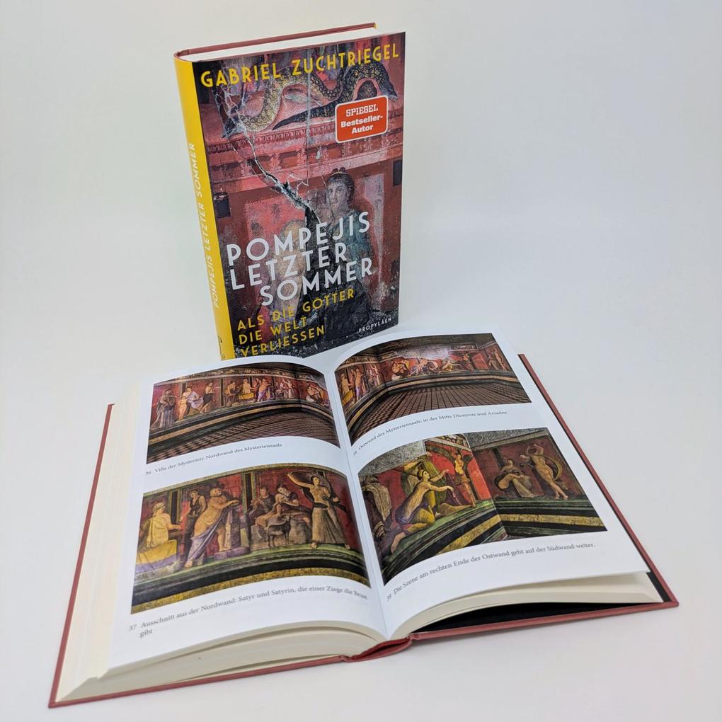 Weitere Ansicht: Pompejis letzter Sommer | Gabriel Zuchtriegel