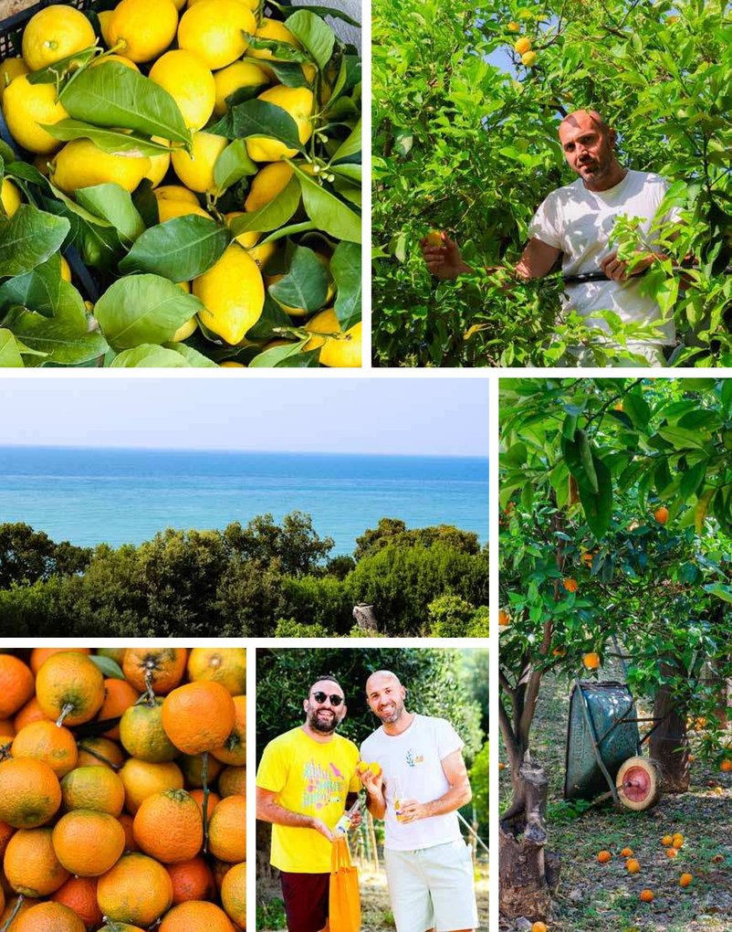 Weitere Ansicht: Amore per Puglia | Stefania Lettini