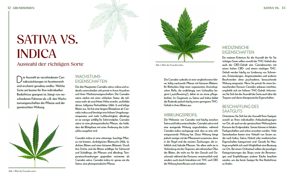 Weitere Ansicht: Cannabis-Anbau für Anfänger | Alexander Gracey
