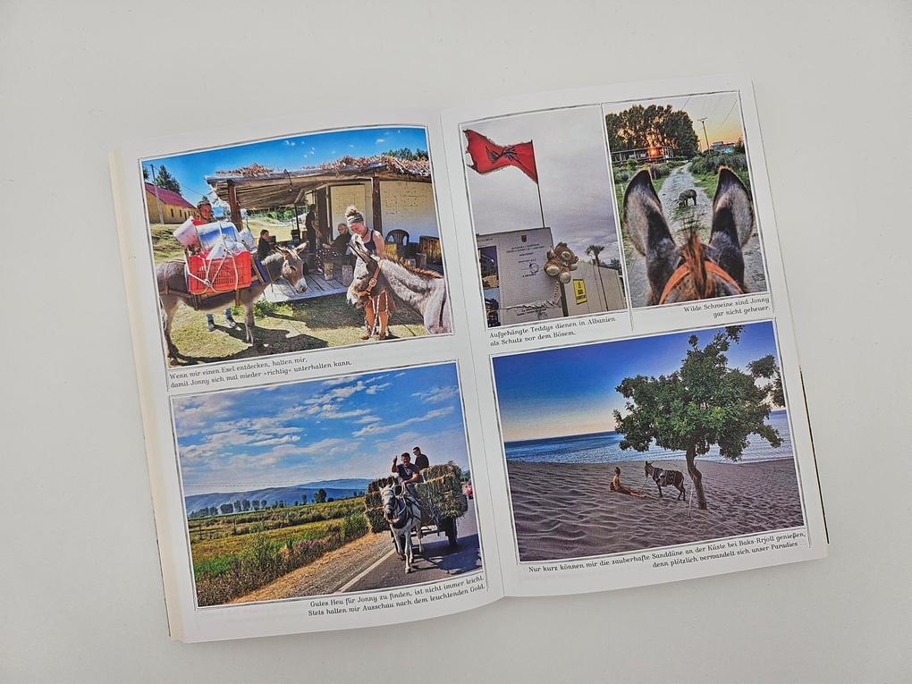 Weitere Ansicht: Immer den Nüstern nach | Lotta Lubkoll