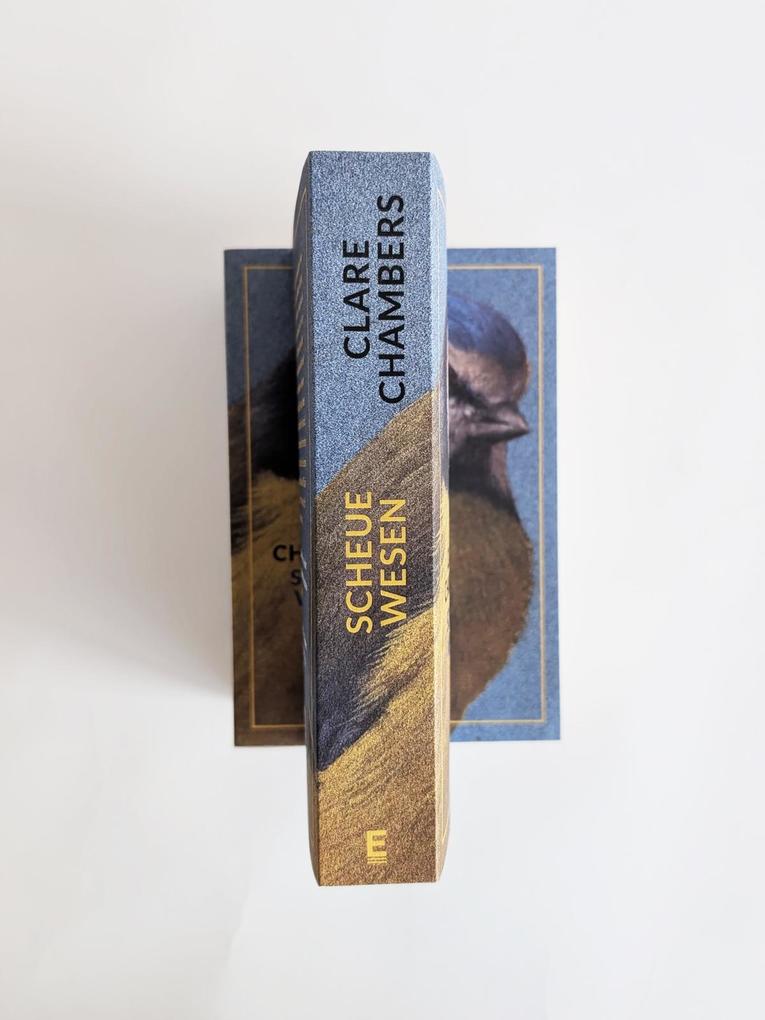Weitere Ansicht: Scheue Wesen | Clare Chambers