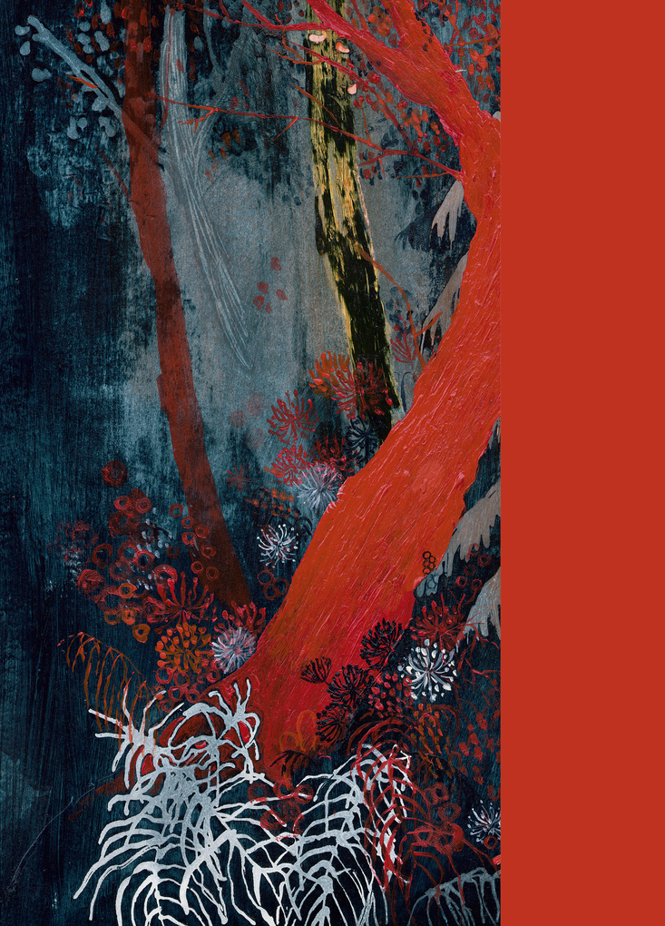 Weitere Ansicht: Pinocchio | Imme Dros, Carlo Collodi