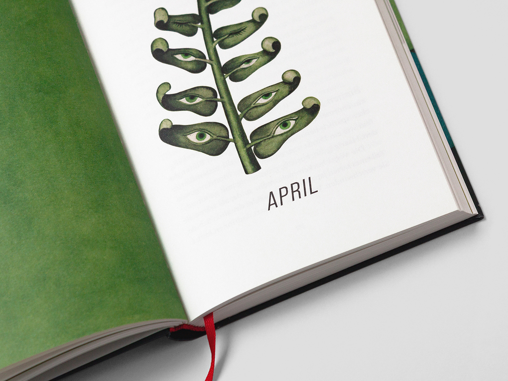 Weitere Ansicht: Ein Jahr in der Natur | Josephine Johnson