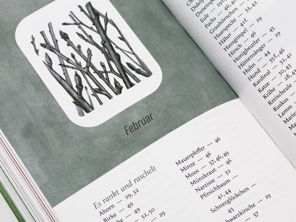 Weitere Ansicht: Ein Jahr in der Natur | Josephine Johnson