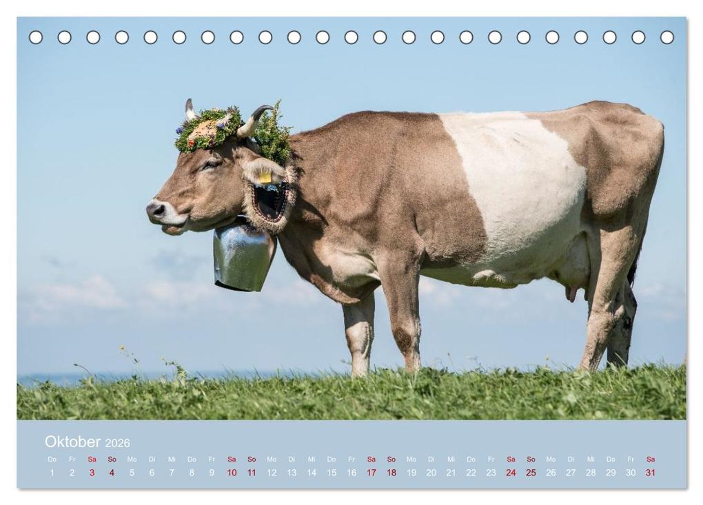 Weitere Ansicht: Allgäuer Rindvieh 2026 (Tischkalender 2026 DIN A5 quer), CALVENDO Monatskalender | Calvendo, Juliane Wandel
