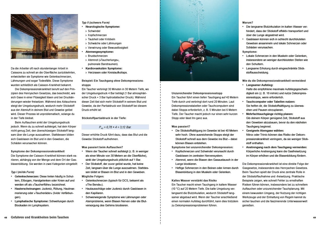 Weitere Ansicht: Das ultimative Taucherhandbuch | Arndt Kemper