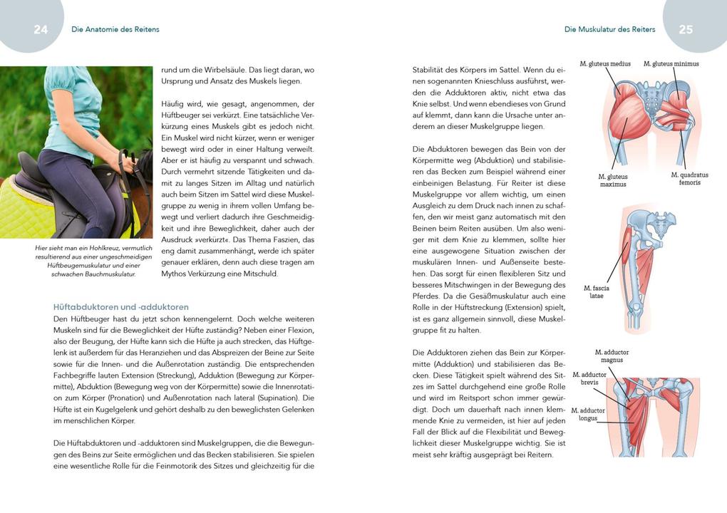 Weitere Ansicht: Fit fürs Reiten | Nina Maruhn, @equestrian.balance