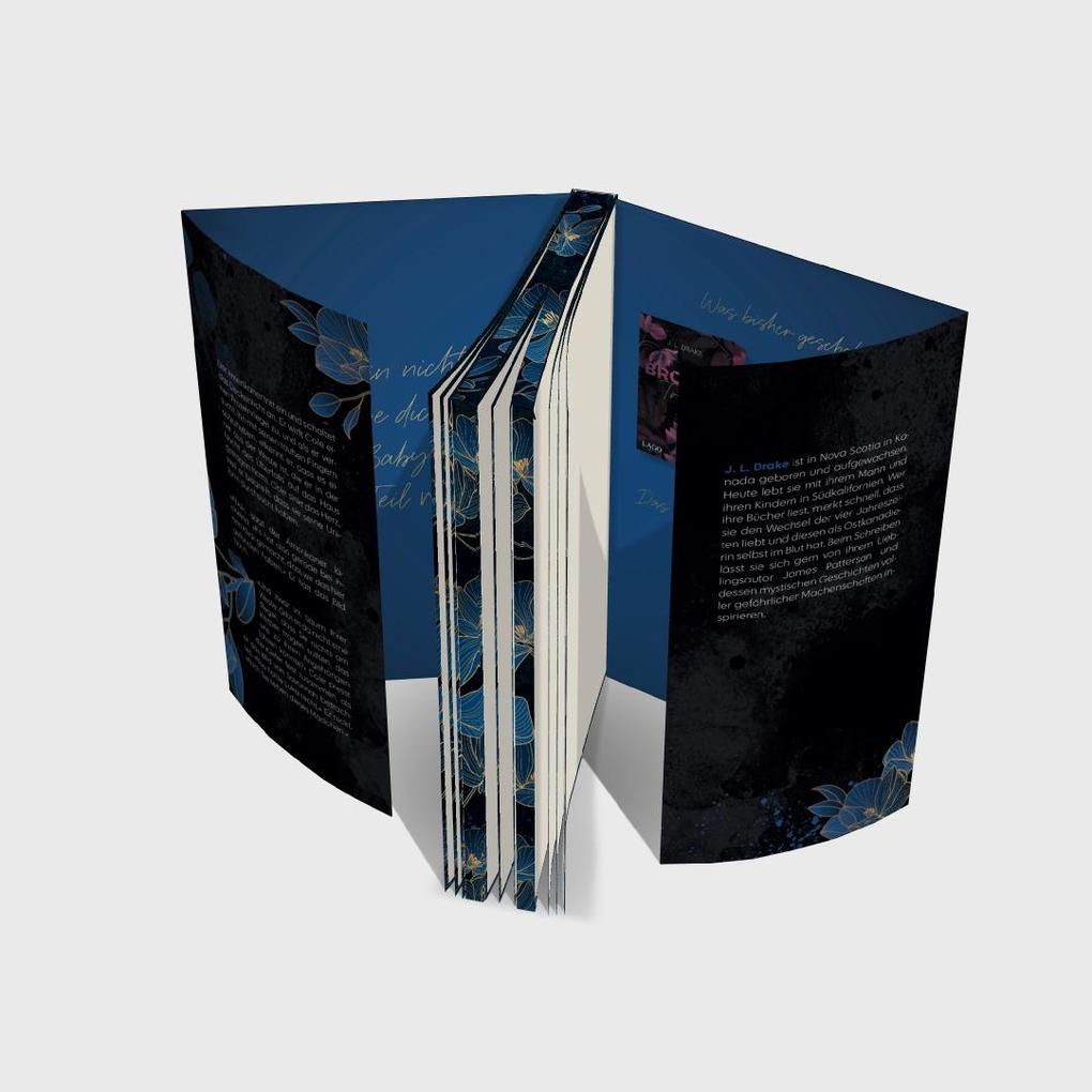 Weitere Ansicht: Shattered Love | J. L. Drake